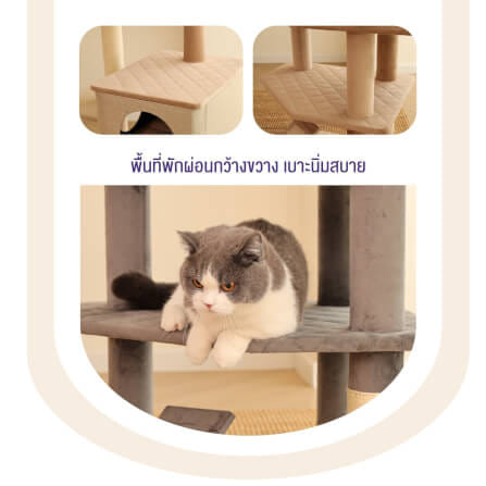 คอนโดแมว Catry รุ่น Cat Tree Yara สีเทา_5